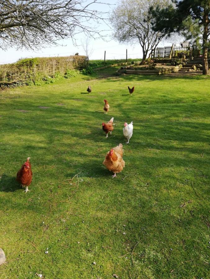 Cosy Dog Friendly Lodge With An Outdoor Bath On The Isle Of Wight Whitwell  Екстер'єр фото